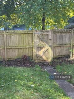 Back Garden