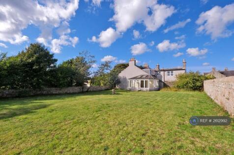 Back Garden