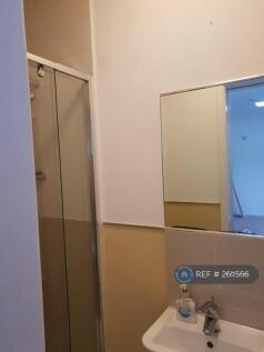 Downstairs Guest Wc &amp; Walk-In Shower