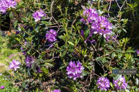 Garden Surrounds, Wide Mix Of Plants To Admire