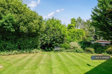 Shared Back Garden