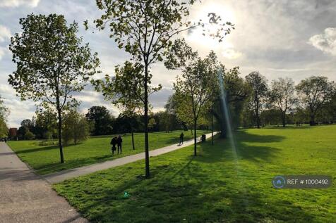 Ladywell Fields