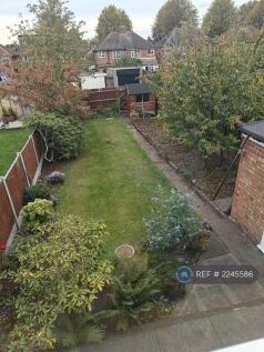 Back Garden