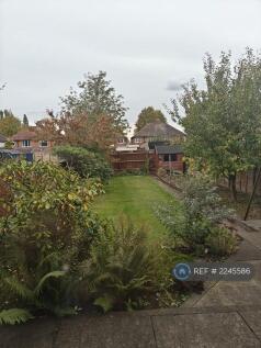 Back Garden