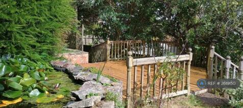 Deck/Pond
