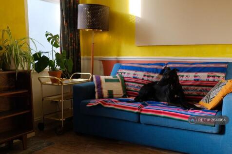 The Living Room (Dog Not Included)