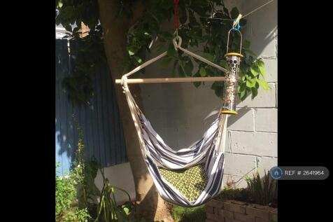 The Best Seat In The House (On a Sunny Day)!