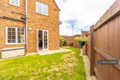 Back Garden