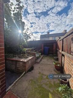 Back Garden