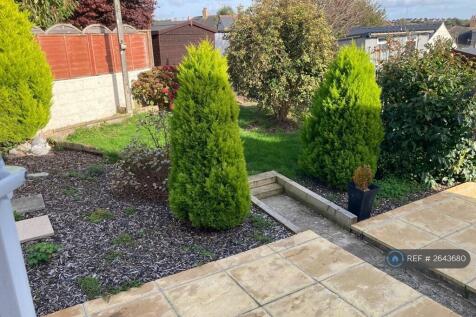 Back Garden