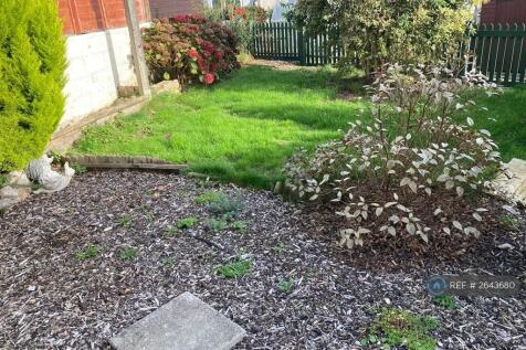 Back Garden
