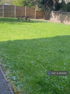 Communal Garden 