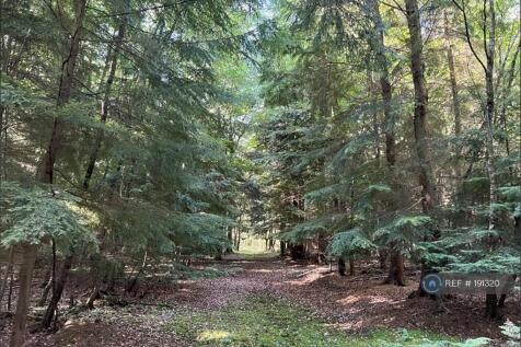 Local Country Walks
