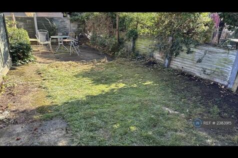 Back Garden