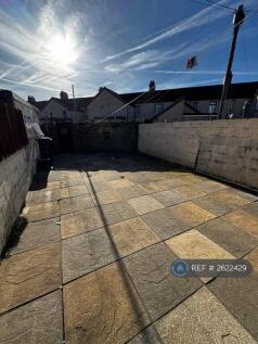 Back Garden 1