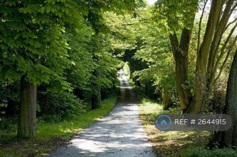 Approach To Prestondene