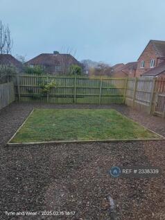 Back Garden 