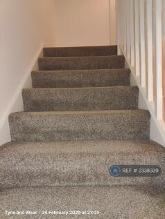 Stairs To Bedrooms