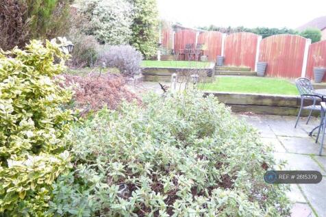 Back Garden2