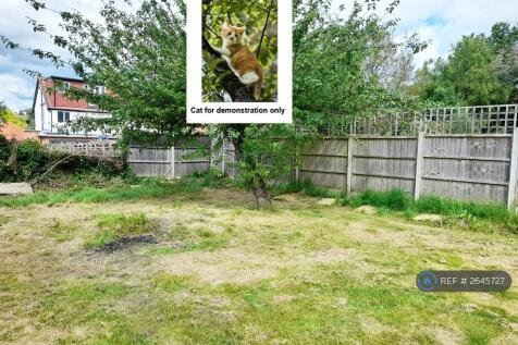 Back Garden 2