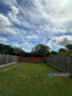 Secure Back Garden 