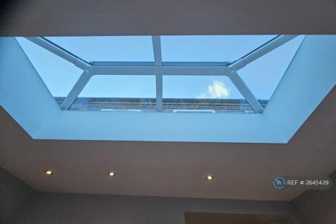 Skylight In Dining Room