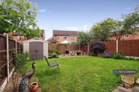 South Facing Garden 