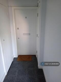 Flat Entrance Fire Door