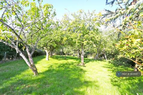Fruit Orchard