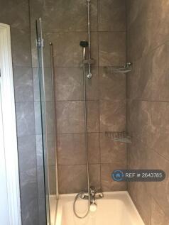 Shower 2
