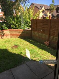 Back Garden