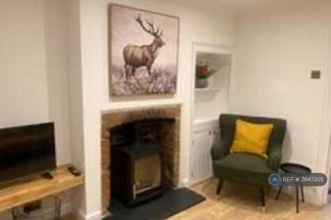 Lounge &amp; Log Burner