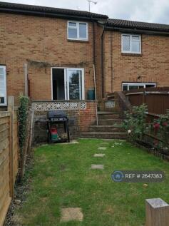 Rear Garden 3
