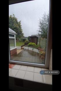 View From Kitchen Window