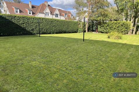 Back Garden 1