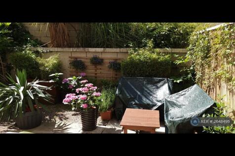 Garden In The Summer