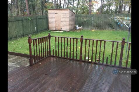 Back Garden - 1
