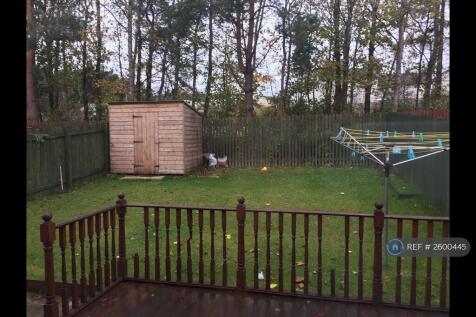 Back Garden - 1