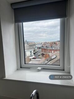 View From Kitchen Window