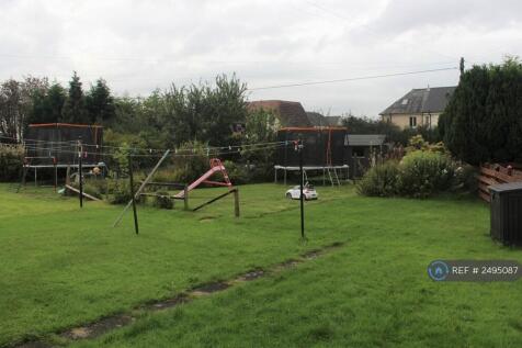 Back Garden