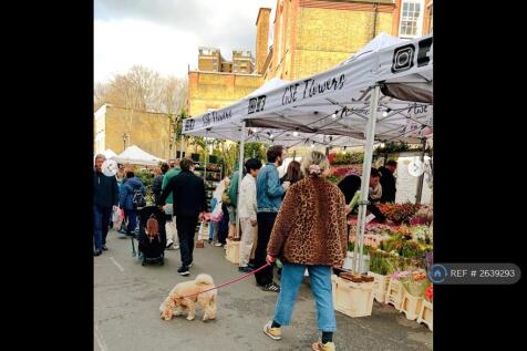 Columbia Road Flower Markets On The Street Below 