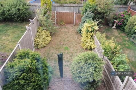 Back Garden Overview