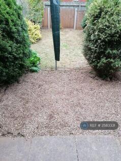Back Garden