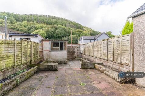 Back Garden