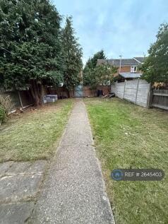 Back Garden 