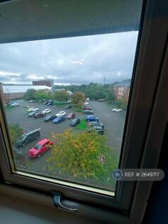 Kitchen Window View