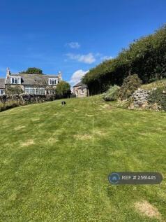 Back Garden (Dog Not Included!)