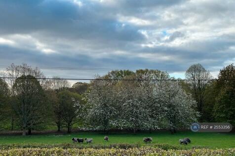 Courtyard - View Fields