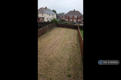 Back Garden