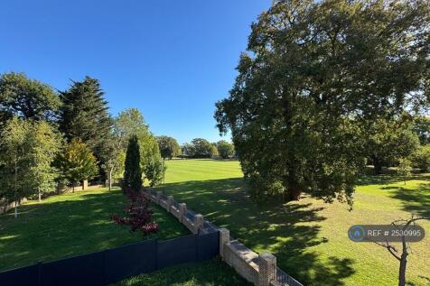Terrace View